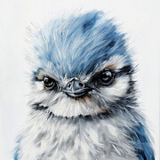 Baby Blue Jay Painting by Tina LeCour Baby Blue Jay Painting by Tina LeCour