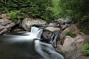 Baby Falls Photograph by Rick Lipscomb