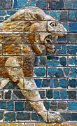 Babylonian Lion 03 Right Photograph by Weston Westmoreland