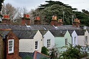 Backs of terraced houses Photograph by Adam Lister
