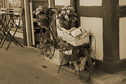 Bakery in Bicycle Basket and Flowers in Sepia Photograph by Colleen Cornelius