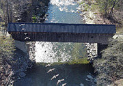 Bald  Eagle in Flight Photograph by Pat Moore