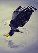 Bald Eagle Painting by Shelly Pritchard