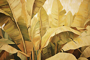 Banana Trees Artwork Painting by Lourry Legarde Banana Trees Artwork Painting by Lourry Legarde