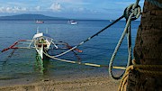 Banca boat tied to the tree Photograph by Robert Bociaga