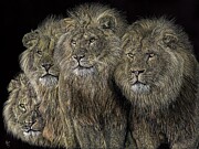 Band of Brothers Mixed Media by Mark Ray