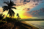 Baracoa Beach Photograph by Micah Offman