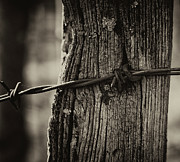 Barbed Wired On Post I Photograph by Charles Floyd Barbed Wired On Post I Photograph by Charles Floyd