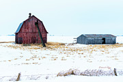 Barn And Elevator Photograph by Ed Peterson