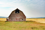 Barn in Grace-2 Pyrography by Cory Milligan