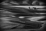 Barn In the palouse II Photograph by Jon Glaser