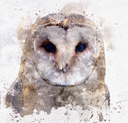 Barn Owl in Watercolor Digital Art by Susan Maxwell Schmidt