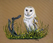 Barn Owl Painting by Shirley Dutchkowski