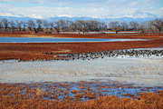Barr Lake Photograph by Vallee Johnson