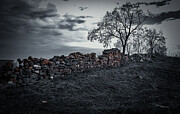 Barren Photograph by Marinko Shlakeski