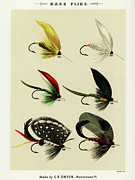 Bass Fishing Flies VI from Favorite Flies and Their Histories Drawing by Mary Orvis Marbury