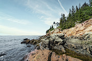 Bass Harbor Head Light Lighthouse Photograph by Stacy Abbott