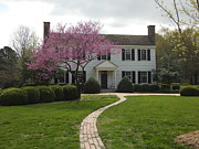 Bassett Hall Photograph by Michael Descher Bassett Hall Photograph by Michael Descher