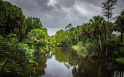 Battlefield Park Loxahatchee River Photograph by Rebecca Herranen