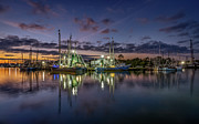 Bayou Dusk, 11/14/20 Photograph by Brad Boland