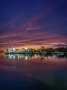Bayou Dusk, 11-5-20 Photograph by Brad Boland