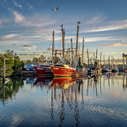Bayou Morning 2, 12/23/20 Photograph by Brad Boland