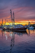 Bayou Sunset, 11/5/20, Erica Lynn Photograph by Brad Boland