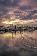 Bayou Sunset with Pelican, 5/29/21 Photograph by Brad Boland