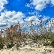Beach grass Photograph by Stephen Dorton