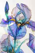 Bearded Iris Beauty Digital Art by Peggy Collins