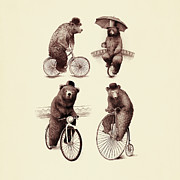 Bears on Bicycles Drawing by Eric Fan