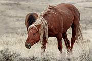 Beautiful Kenya Photograph by Ronnie And Frances Howard