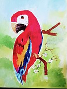 Beautiful Parrot Painting # 29 Painting by Donald Northup