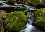 Beautiful Stream in Mount Hood Nat'l Forest Photograph by John Wilbur Beautiful Stream in Mount Hood Nat'l Forest Photograph by John Wilbur
