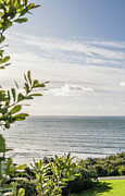 Beautiful view Photograph by Nova Rae Beautiful view Photograph by Nova Rae