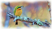 Bee-eater Painting by Joel Smith Bee-eater Painting by Joel Smith