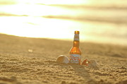 Beer And Sunshine Photograph by Lens Art Photography By Larry Trager Beer And Sunshine Photograph by Lens Art Photography By Larry Trager