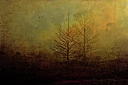 Before Spring Photograph by Pete Rems