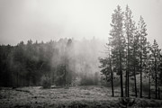 Behind the Curtain Photograph by Ryan Weddle