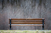 Benched Photograph by JJ Whitley