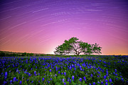 Beneath a Texas Sky Photograph by KC Hulsman Beneath a Texas Sky Photograph by KC Hulsman