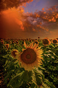 Better Days Photograph by Aaron J Groen