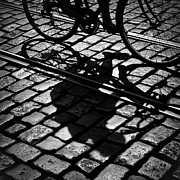 Between the Lines Photograph by Dave Bowman