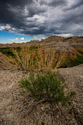 Beyond the Grey Sky Photograph by Aaron J Groen