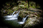 Big Creek, Smoky Mountains Photograph by Theresa D Williams Smoky Mountains
