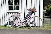 Bike Photograph by Thomas Schroeder