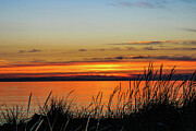 Birchbay Sunset  Photograph by Mary Gaines