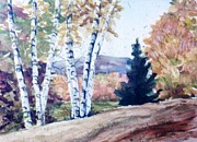 Birches in Autumn Painting by Catherine Ludwig Donleycott