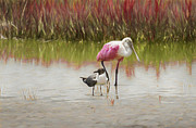 Bird Buddies Photograph by Randall Allen Bird Buddies Photograph by Randall Allen