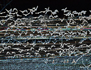 Bird Crazy Painting by Vallee Johnson